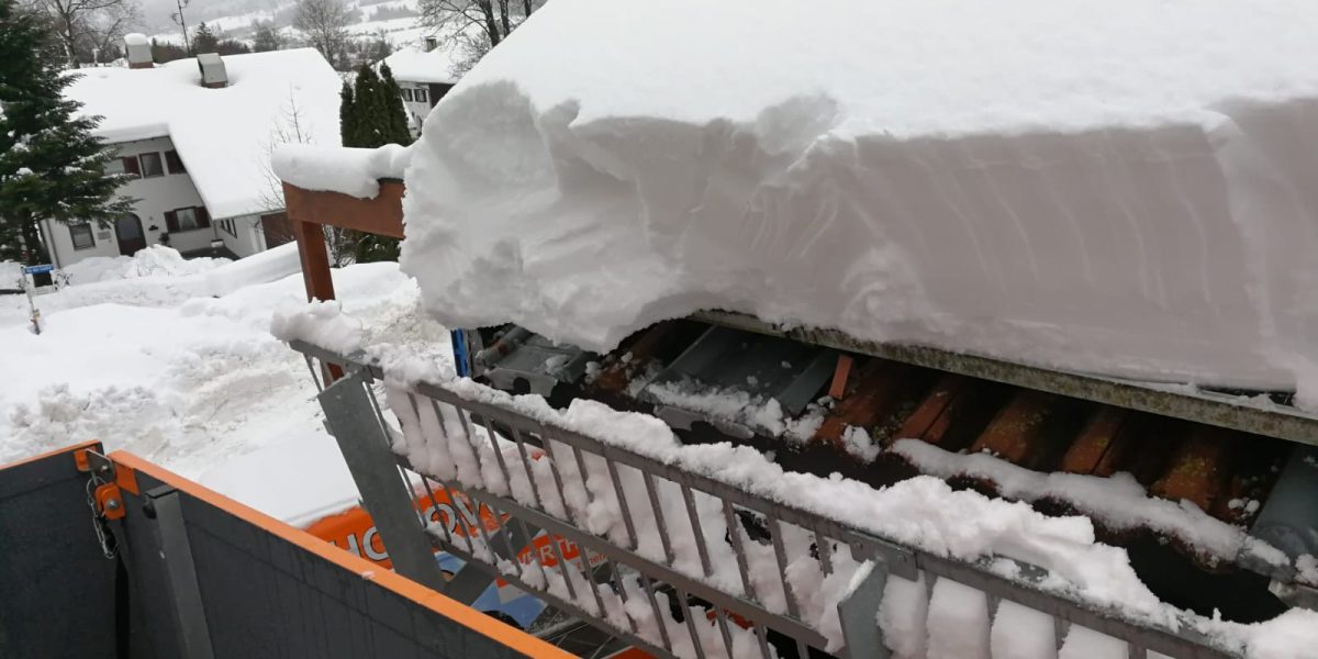 WhatsApp Image 2019-01-14 at 14.25.59 (1) WhatsApp Image 2019-01-14 at 14.25.59 (1)