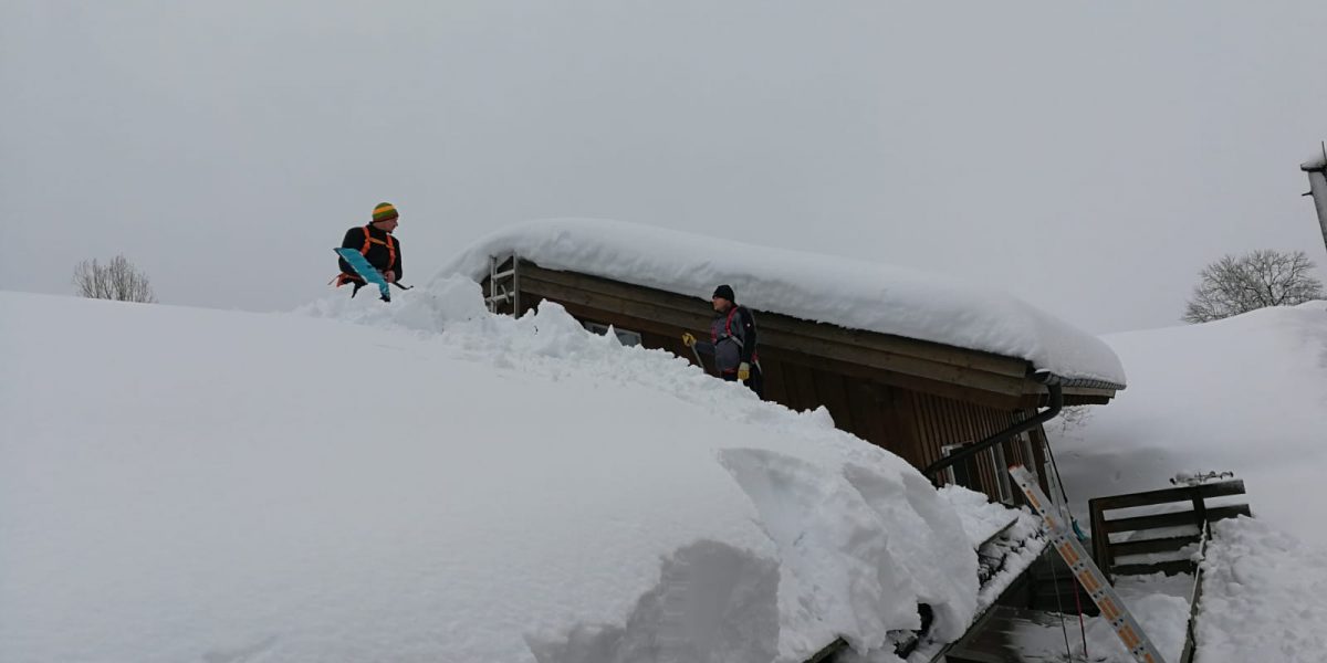 WhatsApp Image 2019-01-14 at 14.25.59 WhatsApp Image 2019-01-14 at 14.25.59