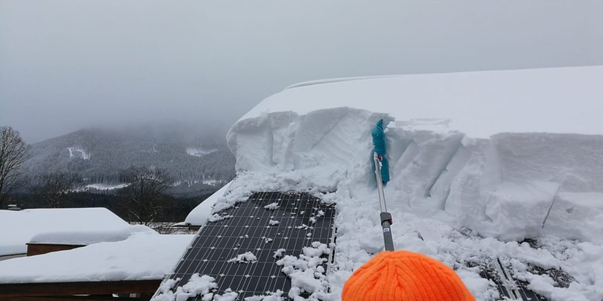 WhatsApp Image 2019-01-14 at 14.26.00 WhatsApp Image 2019-01-14 at 14.26.00